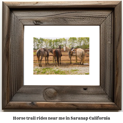 horse trail rides near me in Saranap, California